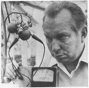 Hubbard communicating with a tomato